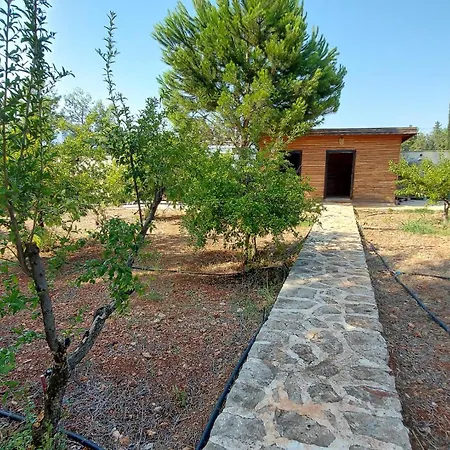 Wooden Wprivate Garden Orchard -room Wac Vilă *